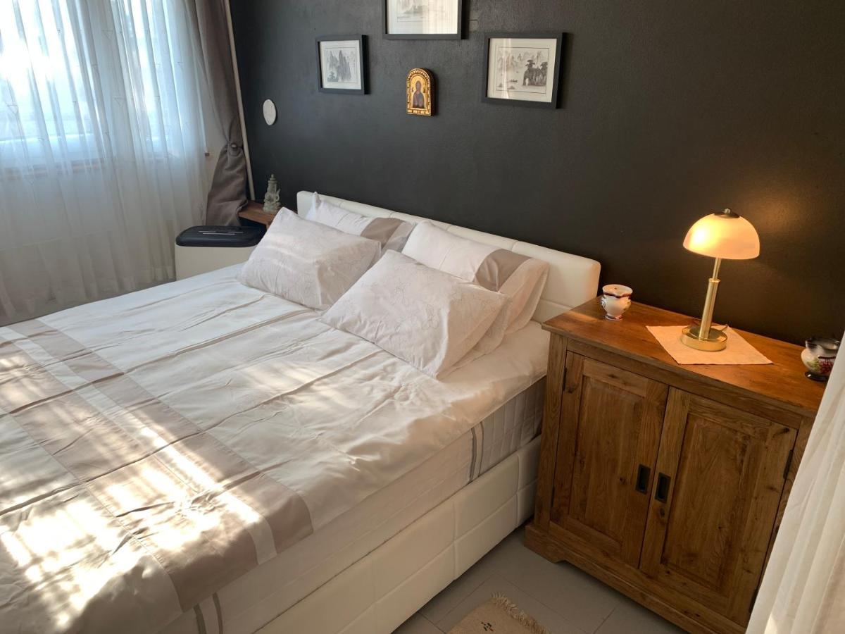 Schoene Ferienwohnung 36 Viralago Mit Privatstrand Gambarogno Buitenkant foto